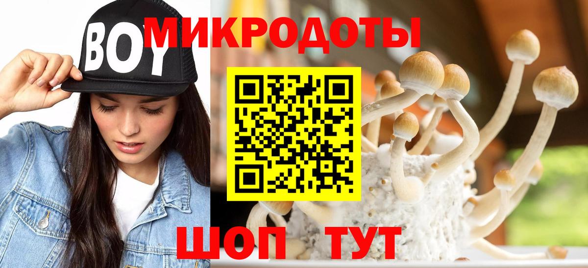 Галлюциногенные грибы Magic Shrooms  Псилоцибиновые грибы MAGIC MUSHROOMS  Орехово-Зуево  Вход с VPN 